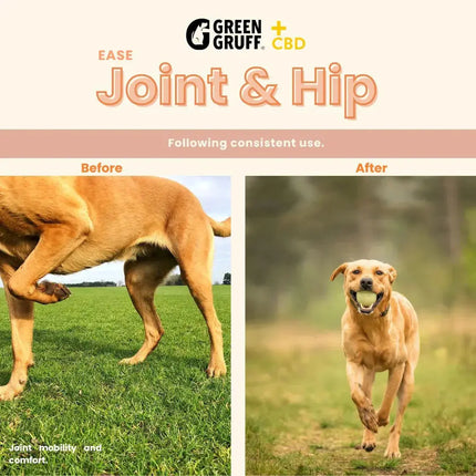 EASE Joint & Hip Plus CBD - Bag | 24 Chews | CBD for Pets Green Gruff