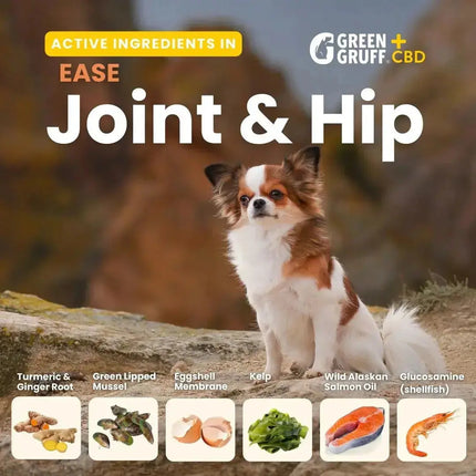 EASE Joint & Hip Plus CBD - Bag | 24 Chews | CBD for Pets Green Gruff