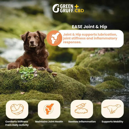 EASE Joint & Hip Plus CBD - Bag | 24 Chews | CBD for Pets Green Gruff