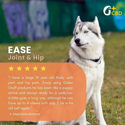 EASE Joint & Hip Plus CBD - Bag | 24 Chews | CBD for Pets Green Gruff