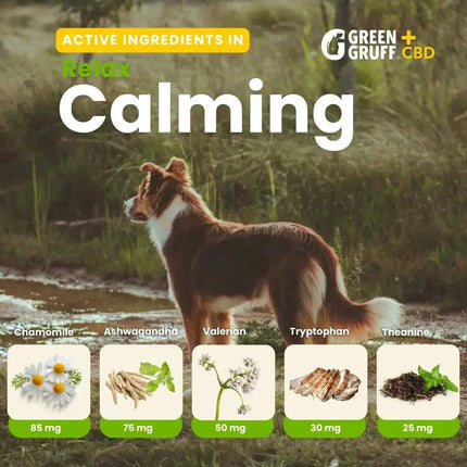 CBD for Pets RELAX Calming Plus - Bag | 24 Chews Green Gruff