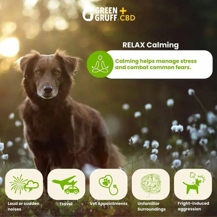 CBD for Pets RELAX Calming Plus - Bag | 24 Chews Green Gruff