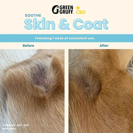 SOOTHE Skin & Coat Plus CBD - Bag | 24 Chews | CBD for pets Green Gruff