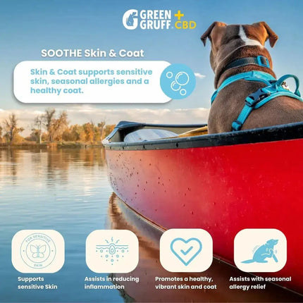 SOOTHE Skin & Coat Plus CBD - Bag | 24 Chews | CBD for pets Green Gruff