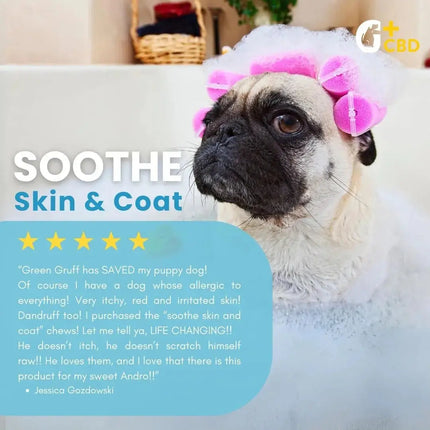 SOOTHE Skin & Coat Plus CBD - Bag | 24 Chews | CBD for pets Green Gruff