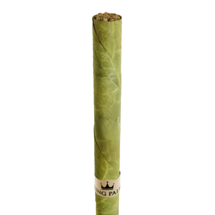 King Palm – 1g Diamond-Infused THCA Pre-roll – Lambo - Ocoee Botanicals