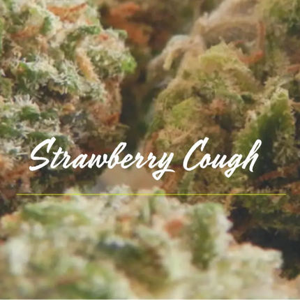 THCA 27.02% | Strawberry Cough | Smalls 1oz Ocoee Botanicals