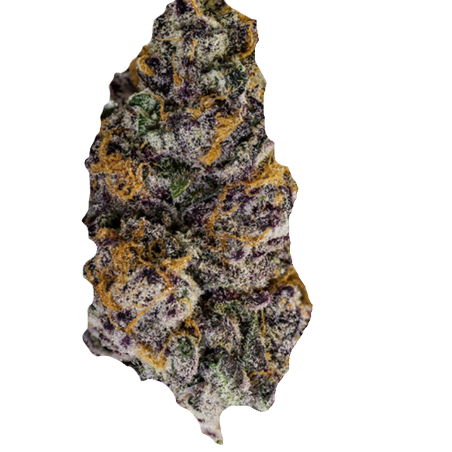 Purple Punch