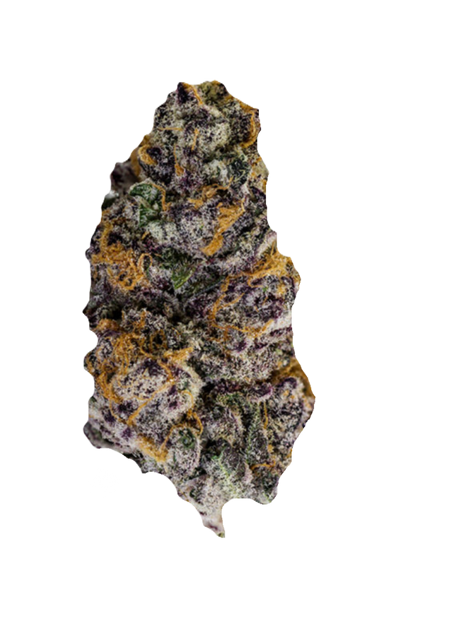 Purple Punch Ocoee Botanicals